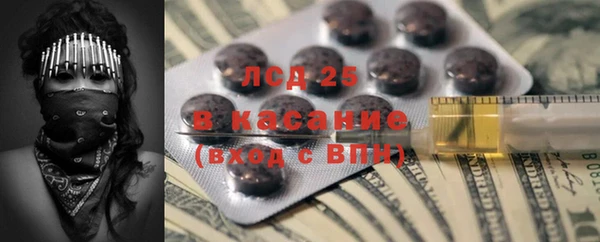 ГАЛЛЮЦИНОГЕННЫЕ ГРИБЫ Богородск