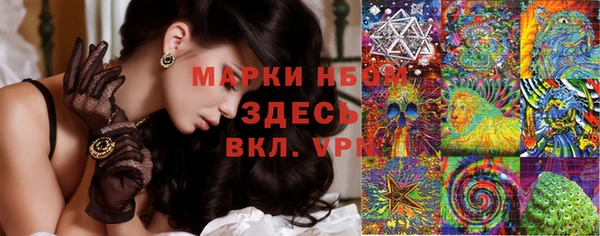 ГАЛЛЮЦИНОГЕННЫЕ ГРИБЫ Богородск