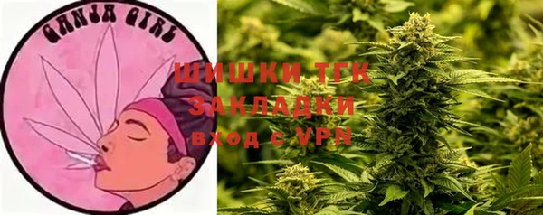 ГАЛЛЮЦИНОГЕННЫЕ ГРИБЫ Богородск