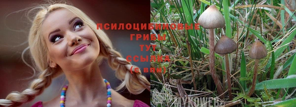 бутик Богданович