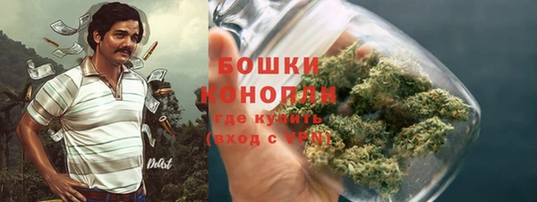 ГАЛЛЮЦИНОГЕННЫЕ ГРИБЫ Богородск