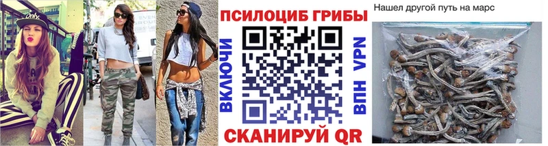 Купить где  Белая Холуница  Псилоцибиновые грибы Magic Shrooms 